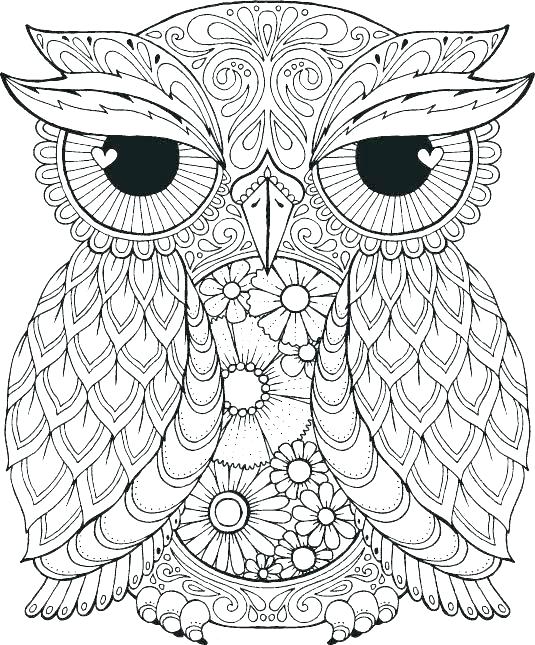 535x645 Mandala Coloring Pages Printable Black Free Printable Advanced