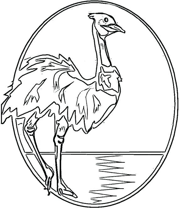 570x667 Kangaroo Colouring In Aboriginal Animal Colourings Mosaic