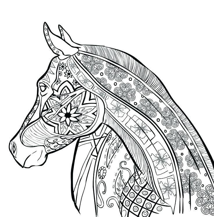 736x747 Mosaic Coloring Pages To Print Animal Mosaic Coloring Pages