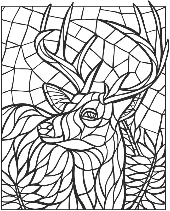 650x808 Pin By Gena Andreano On Dover Coloring Dover