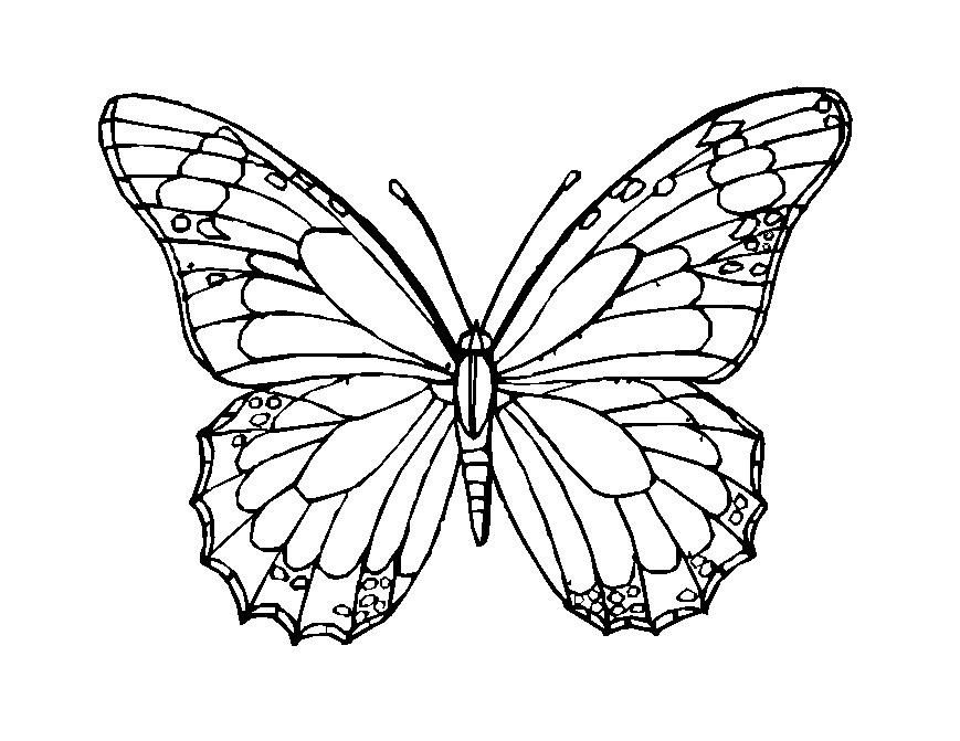 869x671 Printable Mosaic Pictures To Color Posted In Animals, Birds