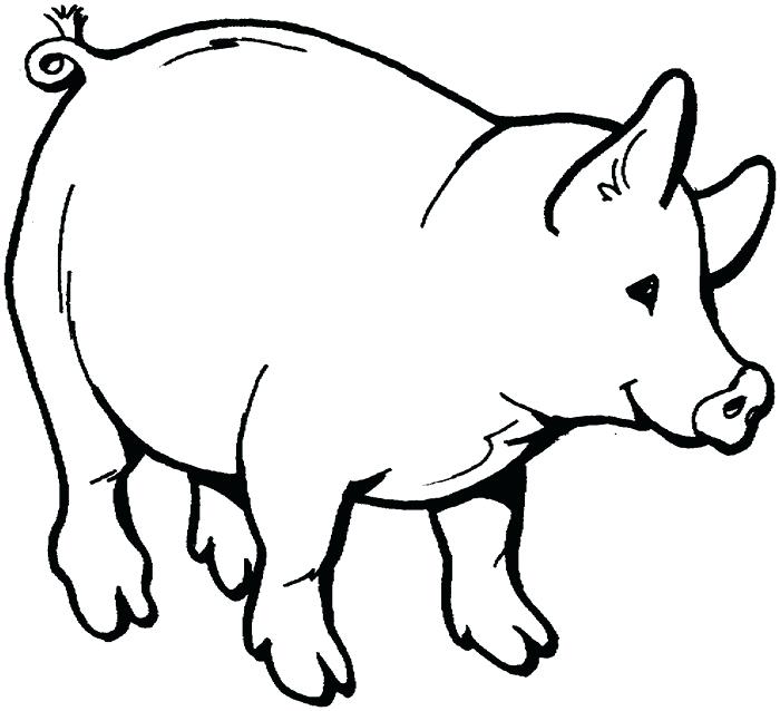 700x638 Olivia The Pig Coloring Pages Animal Outlines To Color Pig