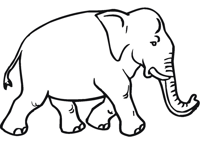 700x500 Animal Templates To Print African Animal Template Animal Templates