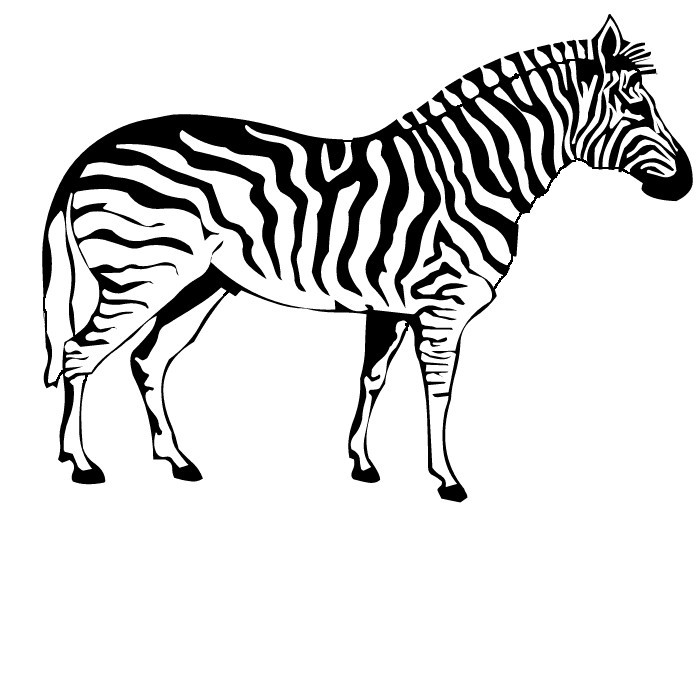 700x700 Free Printable Zebra Coloring Pages For Kids