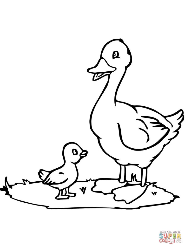 768x1024 Mama Duck And Duckling Pattern Coloring Page