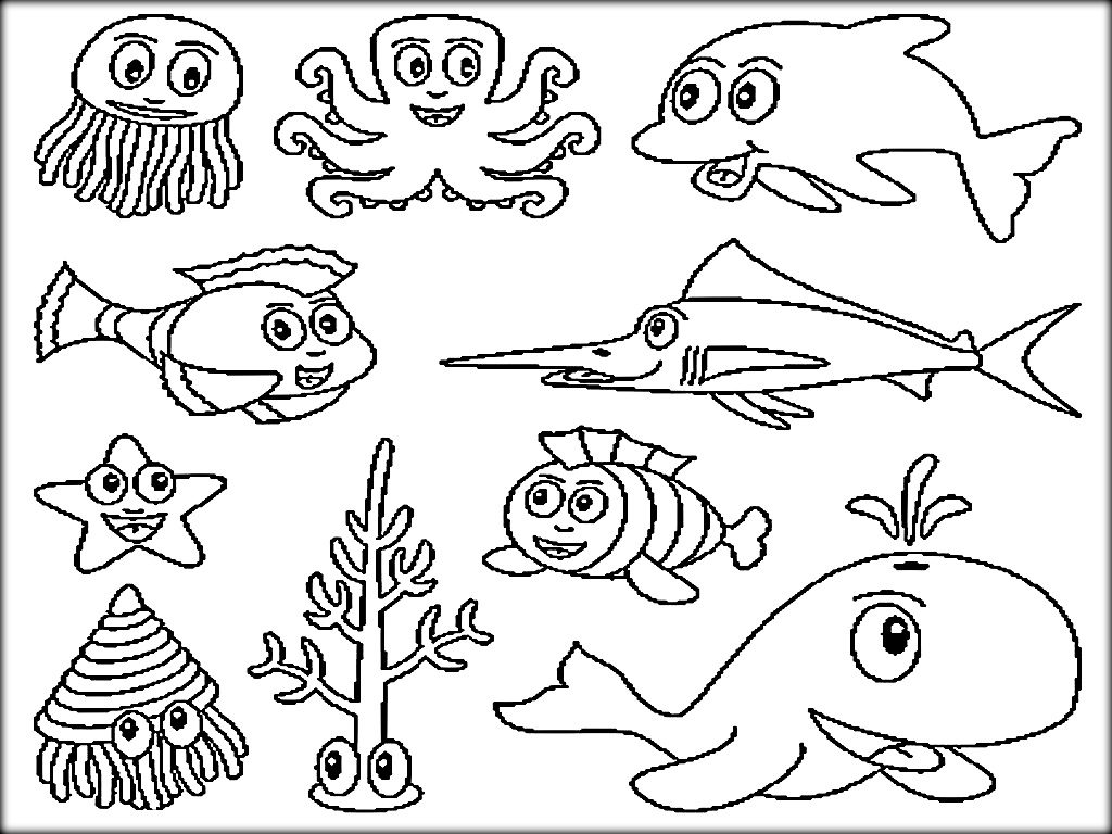 1024x768 Terrific Printable Pictures Of Ocean Animals Sea Animal Coloring