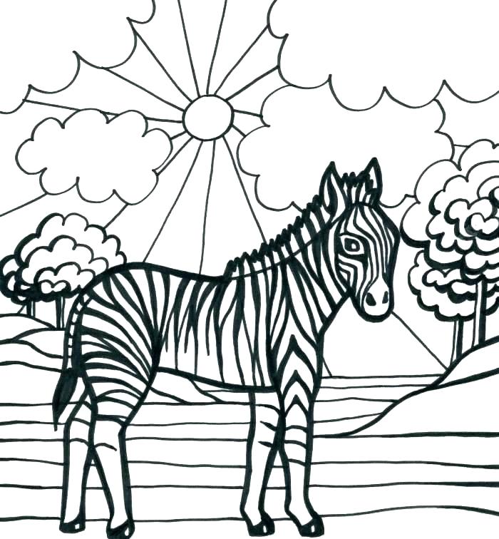 700x756 Zebra Print Coloring Pages Kids Coloring Zebra Color Sheet Zebra