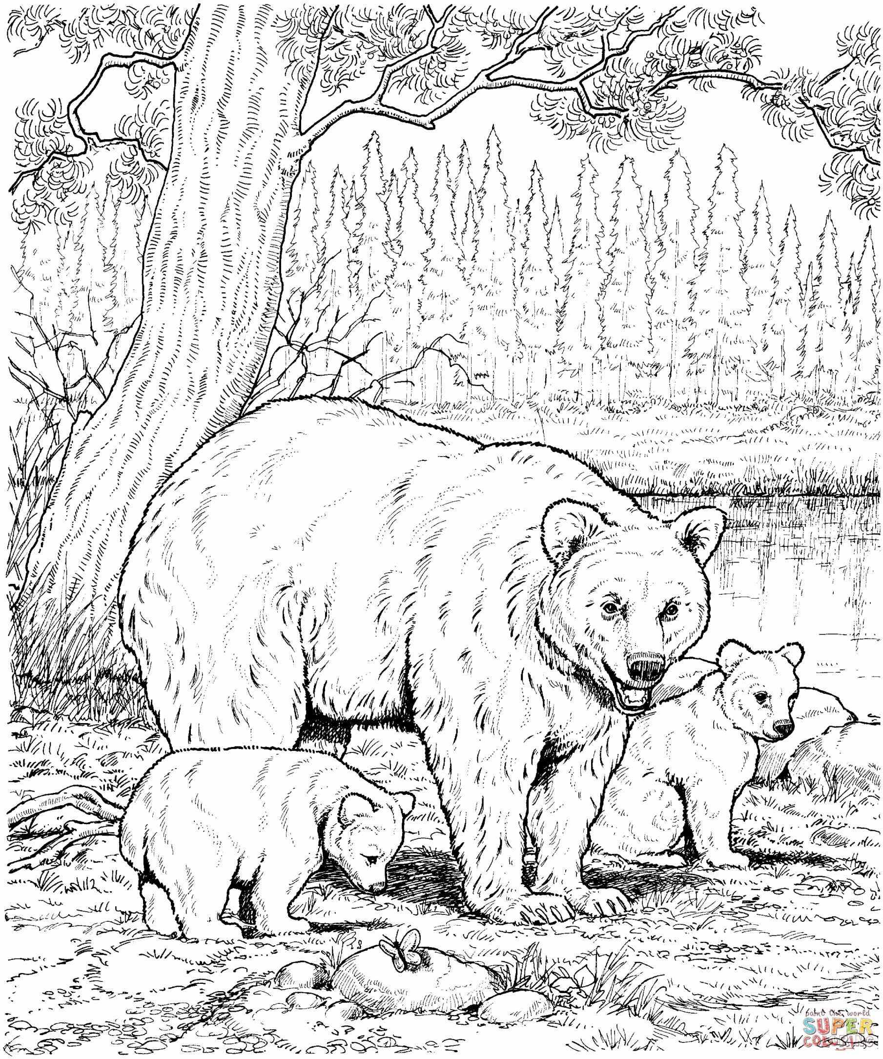 1809x2169 Hard Animal Pattern Getcoloringpagescom Hard Hard Coloring