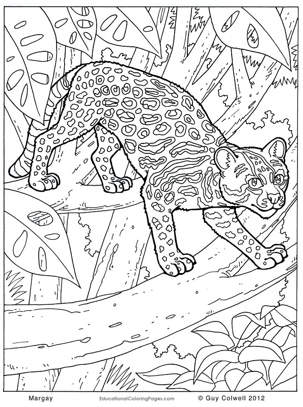595x800 Animal Pattern Colouring Pages