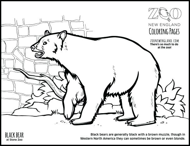 608x467 Zoo New Coloring Pages Coloring Pages Animal Planet Colouring