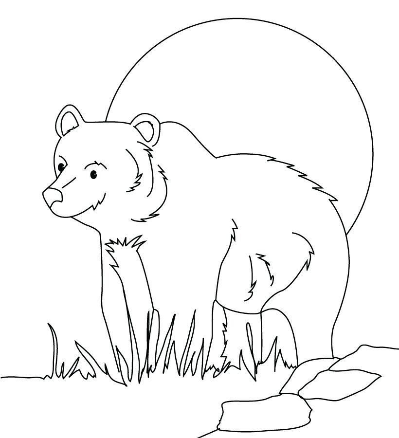 820x900 Animal Planet Coloring Pages Coloring Forest Animals Picture Ideas