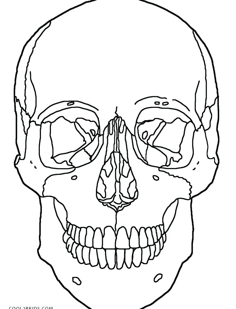 800x1050 Coloring Pages ~ Anatomy Coloring Pages Skeleton Skull For Kids