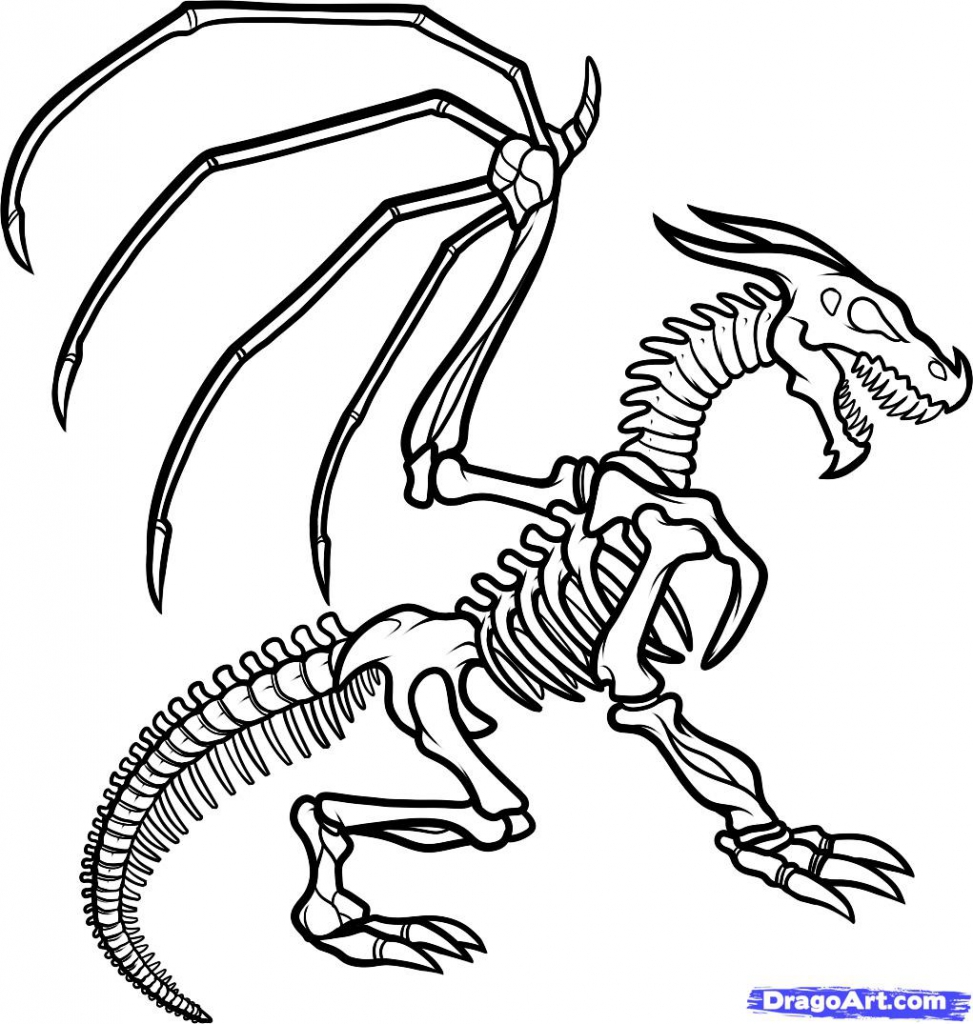 973x1024 Approved Dinosaur Skeleton Coloring Page Clipa