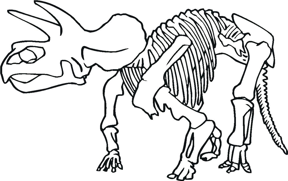 1200x756 Bones Coloring Pages