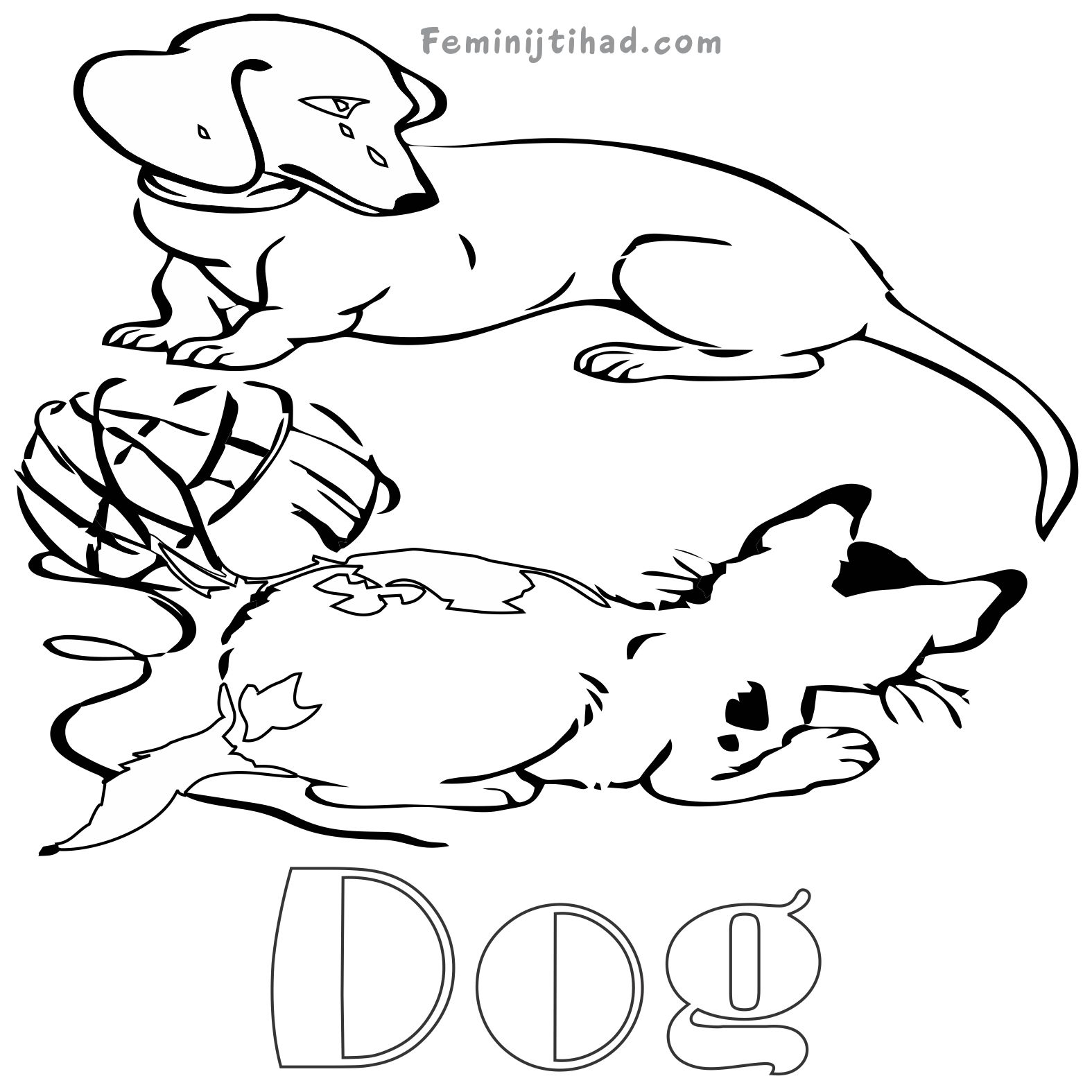 Animal Track Coloring Pages