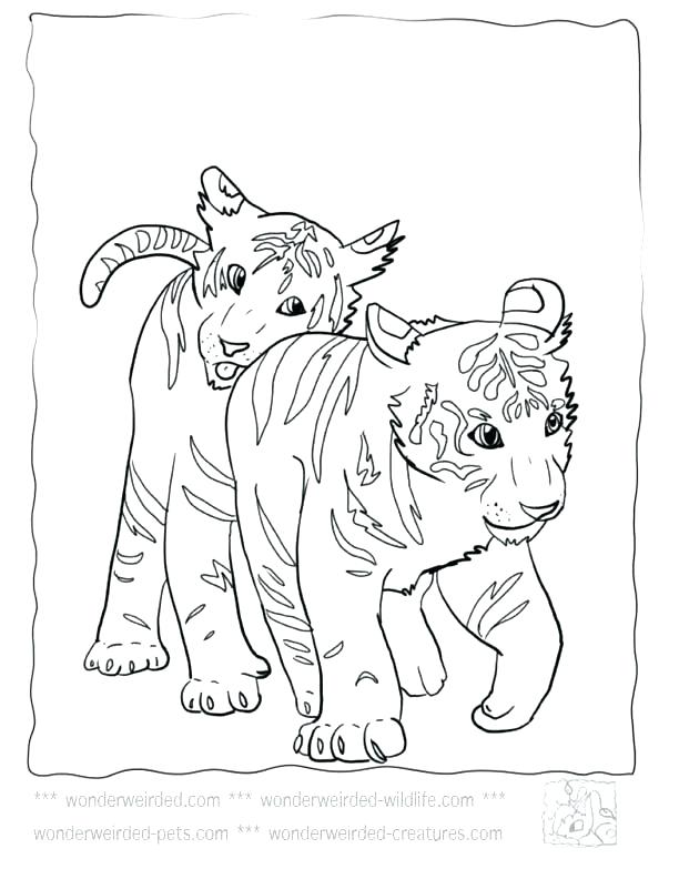 612x792 Footprint Coloring Page Footprint Coloring Page Animal Footprint