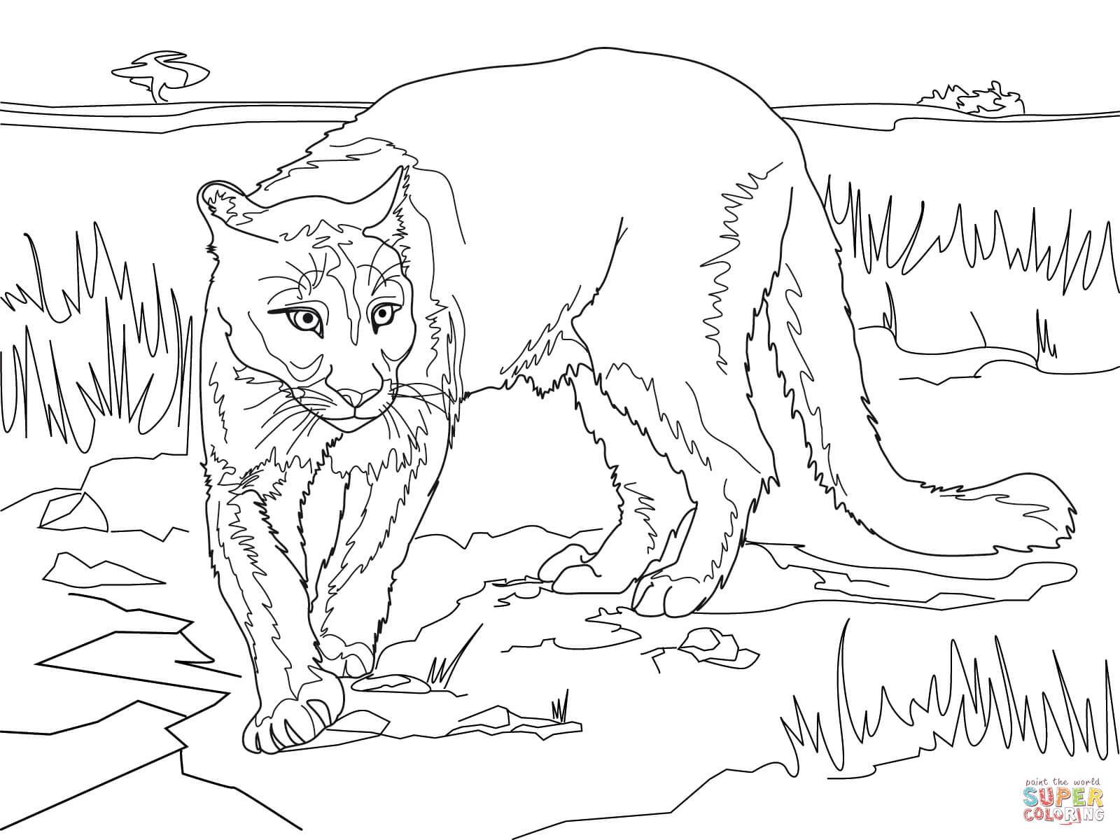 1600x1200 Incredible Rocky Mountain Elk Coloring Page Printable For Animal