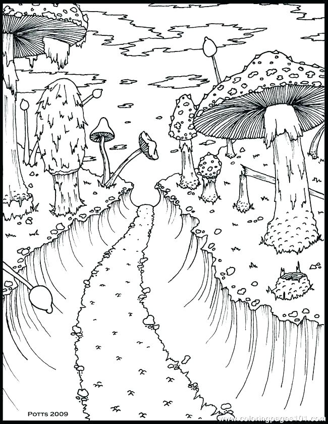 650x840 Printable Track Forest Animal Printable Coloring Pages 1 Page