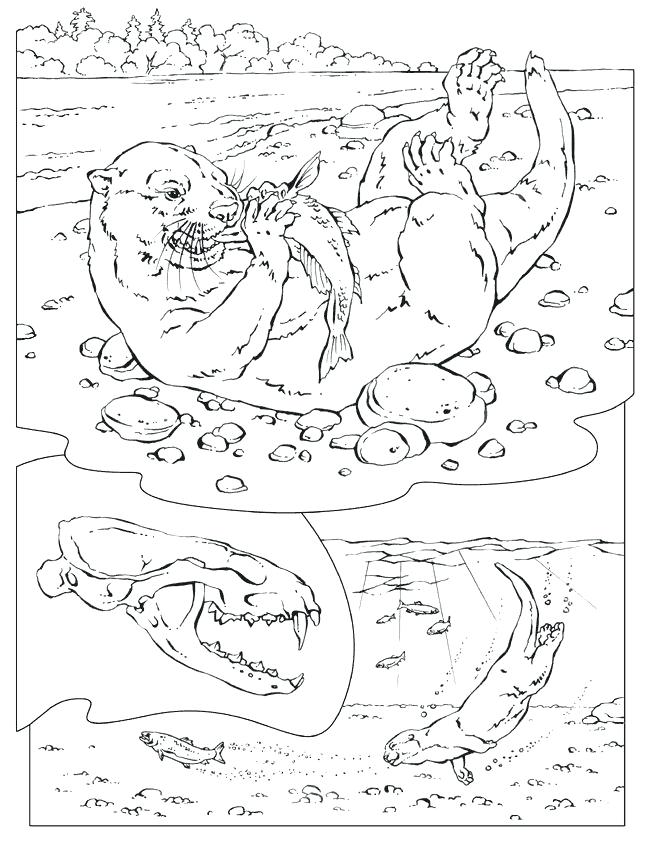 650x841 Animal Tracks Coloring Pages Strikingly Beautiful Animal Tracks