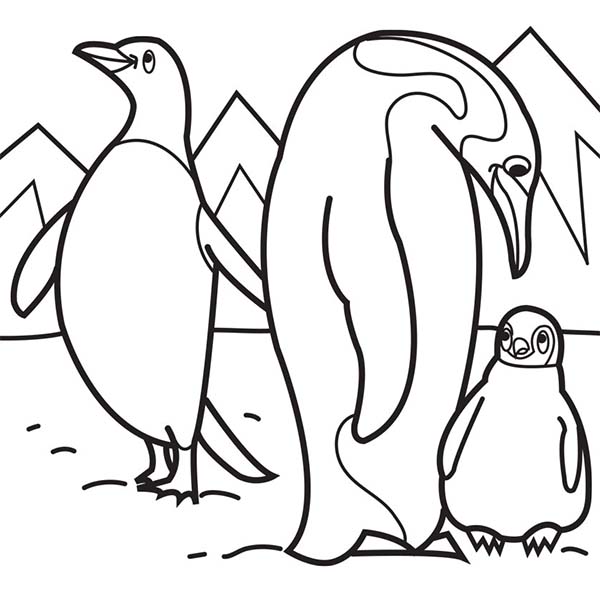600x600 Arctic Animals Coloring Pages Advanced Coloring Pages,difficult