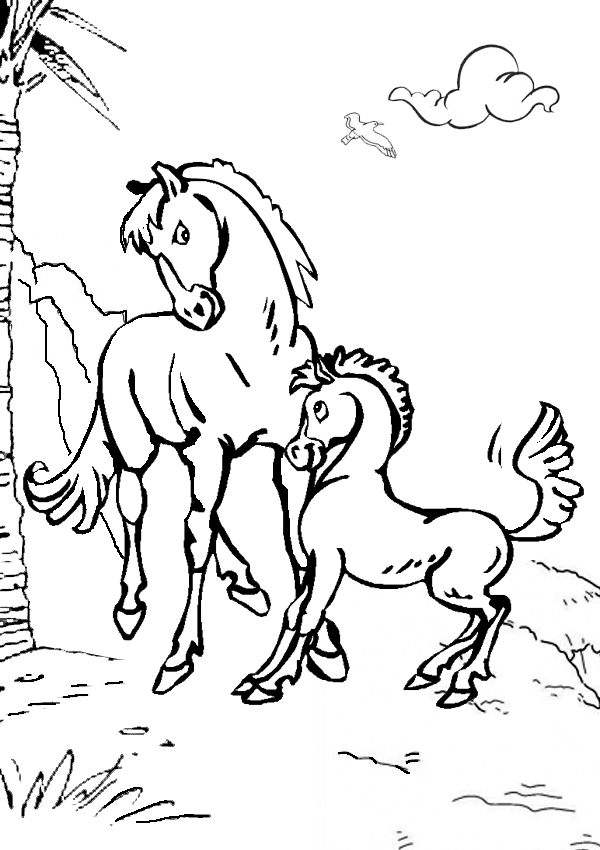 600x850 Baby Horse Coloring Pages To Print
