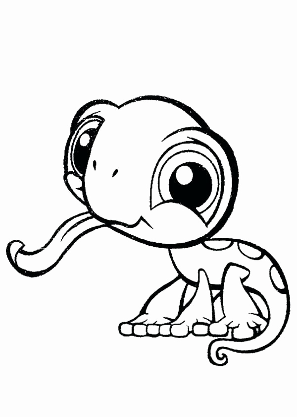 600x840 Cute Baby Animal Coloring Pages Dragoart Photograph Cute Anime