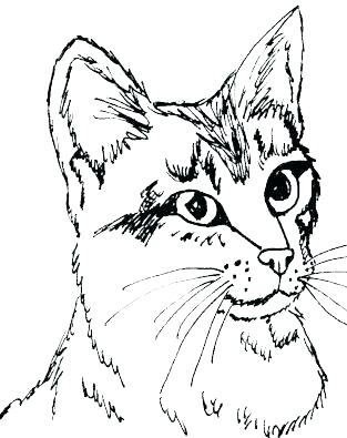 313x395 Coloring Pages Of Cats Anime Cat Coloring Pages Cute Anime Cat
