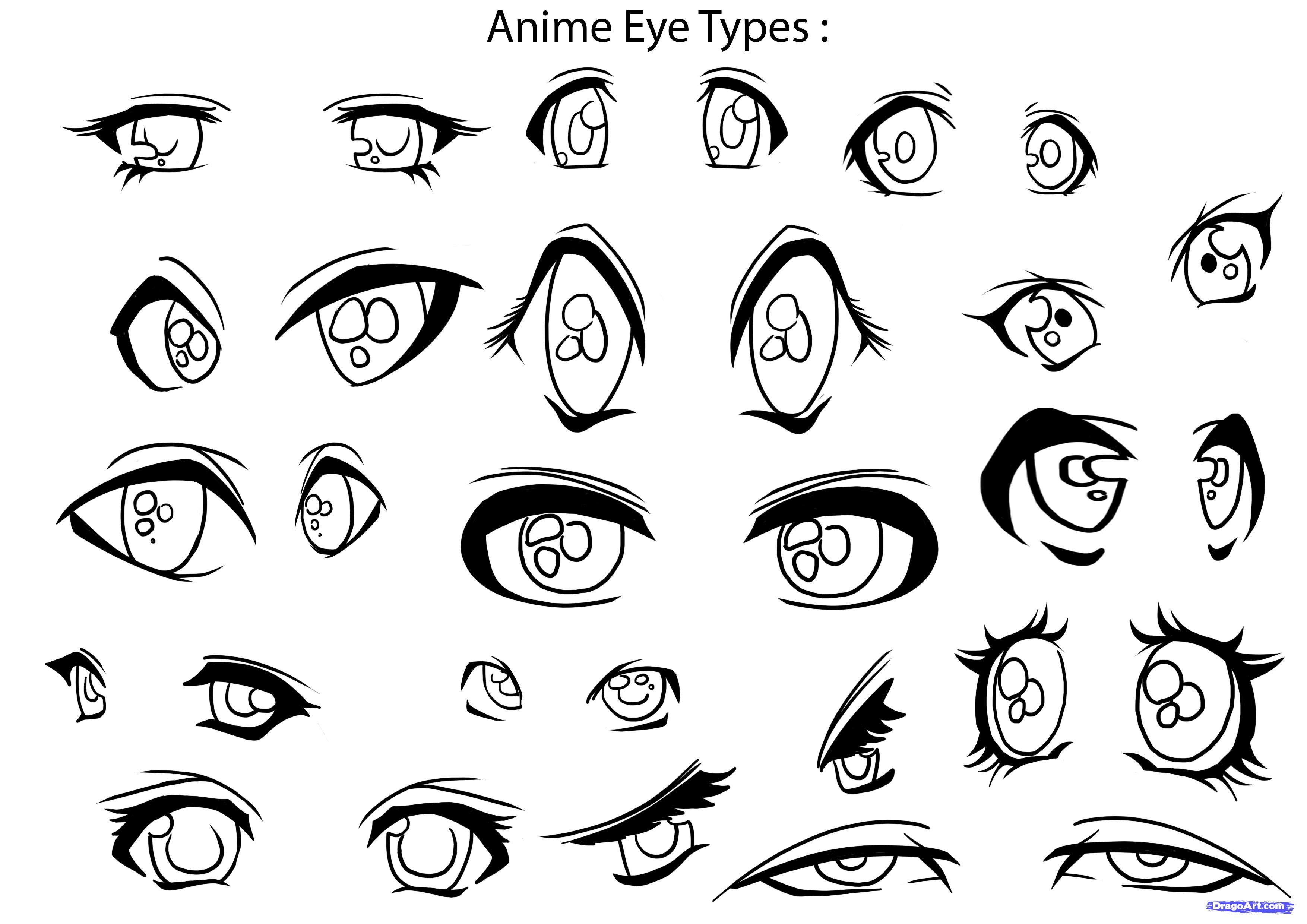 3508x2480 Marvelous Drawing Anime Step By Coloring To Image Of Cat Page