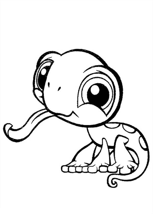 600x840 Cute Animal Coloring Pages
