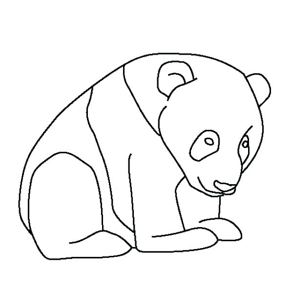 600x600 Cartoon Giant Panda Cartoon Baby Giant Panda Cartoon Giant Panda