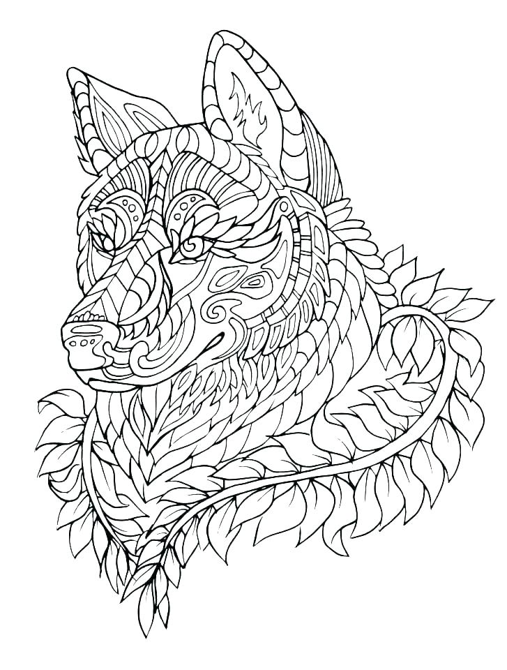 727x960 Anime Wolf Coloring Sheets Pictures Pages Free Printable Page