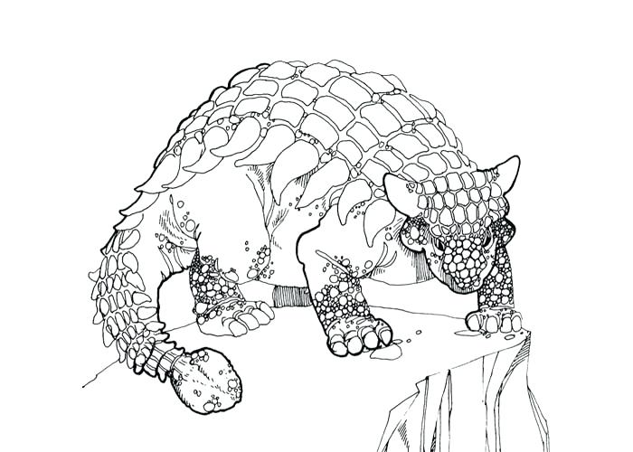 700x500 Ankylosaurus Coloring Page Stegosaurus Ankylosaurus Free Coloring