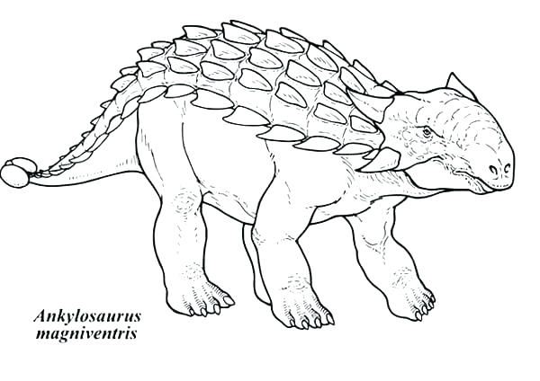 600x424 Coloring Page Dinosaur And Coloring Pages Coloring Page Dinosaur
