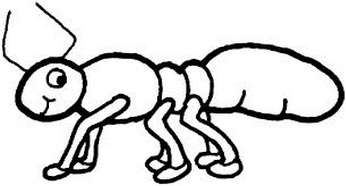 699x376 Ant Coloring Page Amp Coloring Book