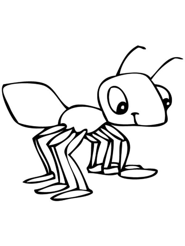 600x800 Ant Coloring Page Cartoon Ant Coloring Page Printable Coloring