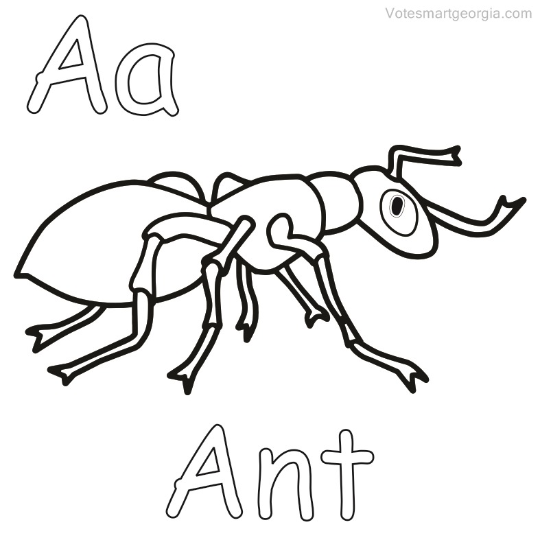 787x787 Ant Coloring Pages Free Download Coloring Pages For Kids