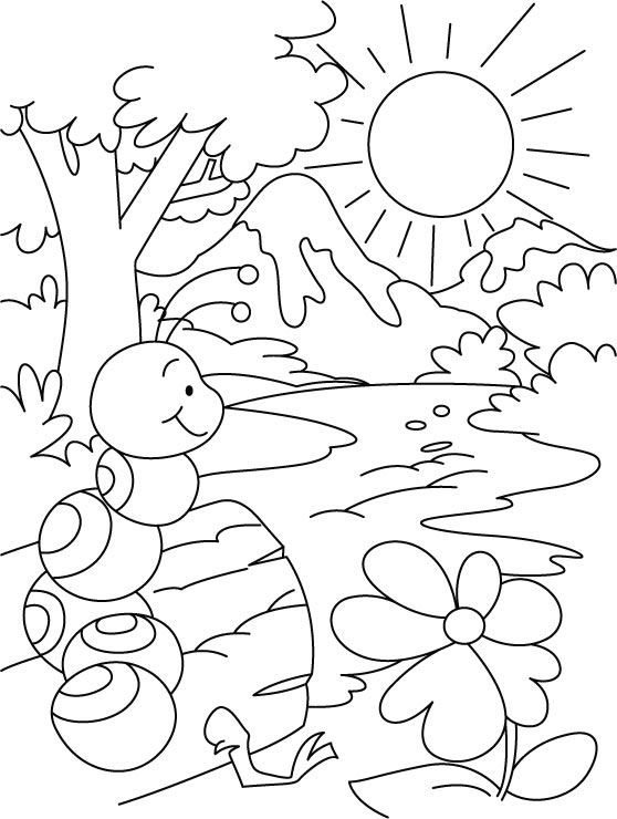 558x740 Ant Hill Coloring Page