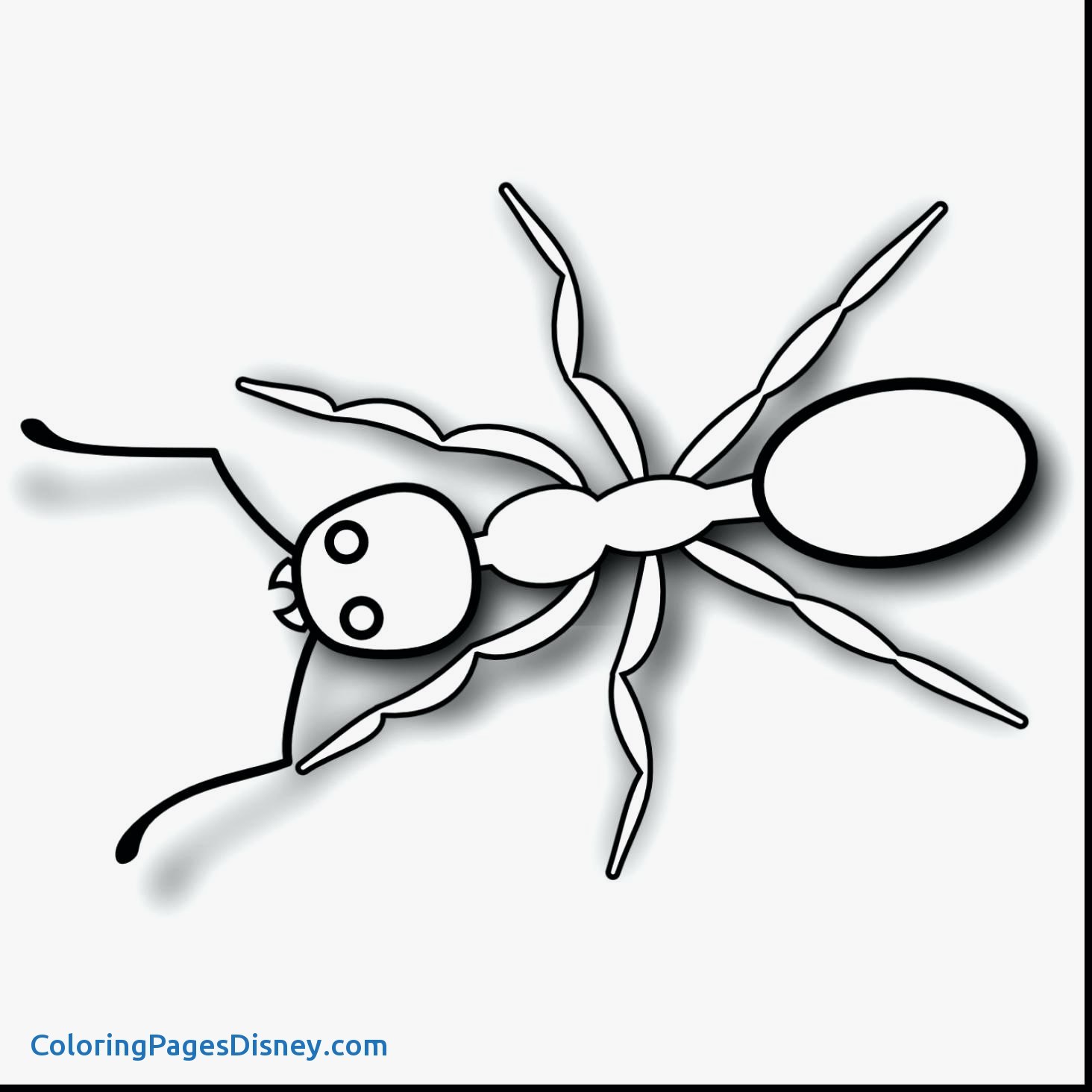 1464x1464 Ants Coloring Pages Fresh Coloring Page Ant Coloring Pages Free