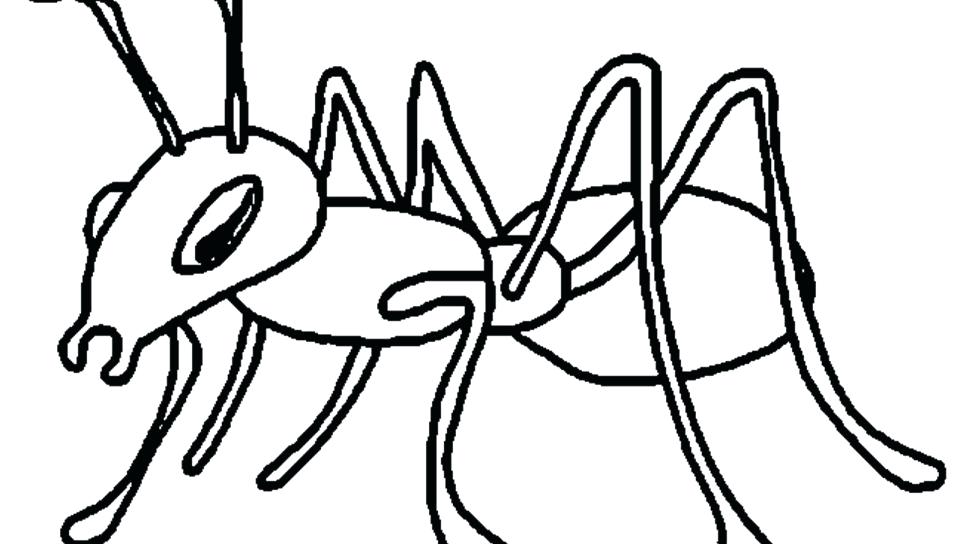 960x544 Ants Coloring Pages Kids Coloring Ants Party Between Grass