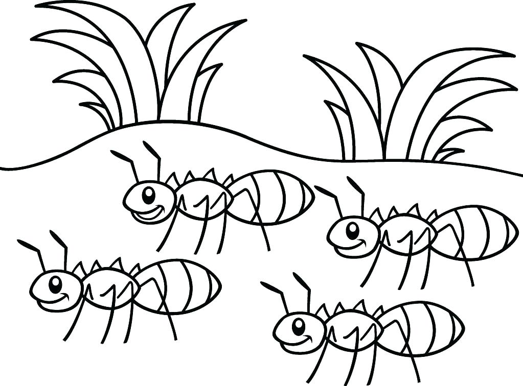 1023x756 Ant Coloring Page Happy Ant Dancing Coloring Page Anteater