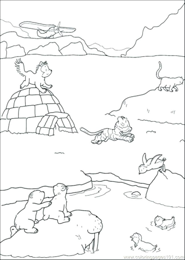 650x912 Antarctica Coloring Pages Coloring Page Polar Arctic Animals