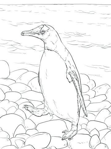 360x480 Antarctica Coloring Pages Coloring Pages Coloring Page Coloring