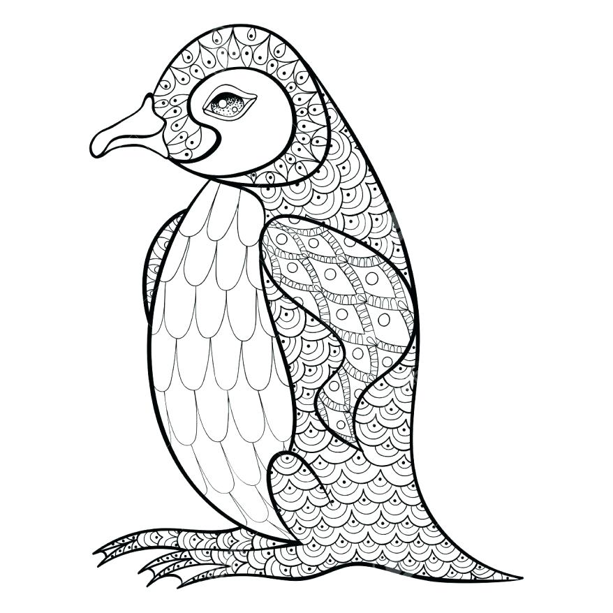 878x878 Antarctica Coloring Pages Family Of Emperor Penguin On The Snow