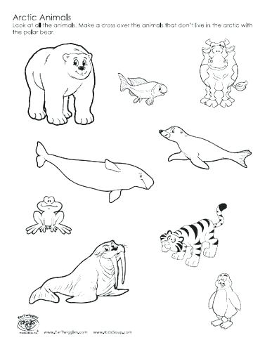 387x494 Coloring Pages Coloring Page Penguins Coloring Page 3 Coloring