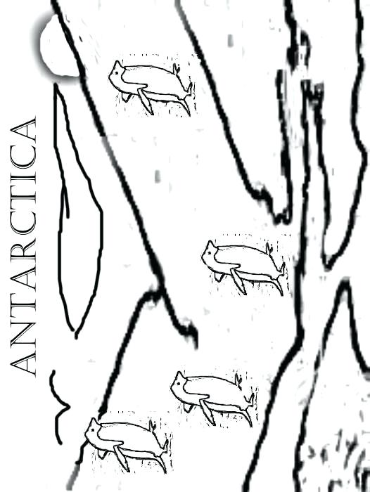 526x700 Antarctica Coloring Pages Animals Of Worksheet Printable Coloring