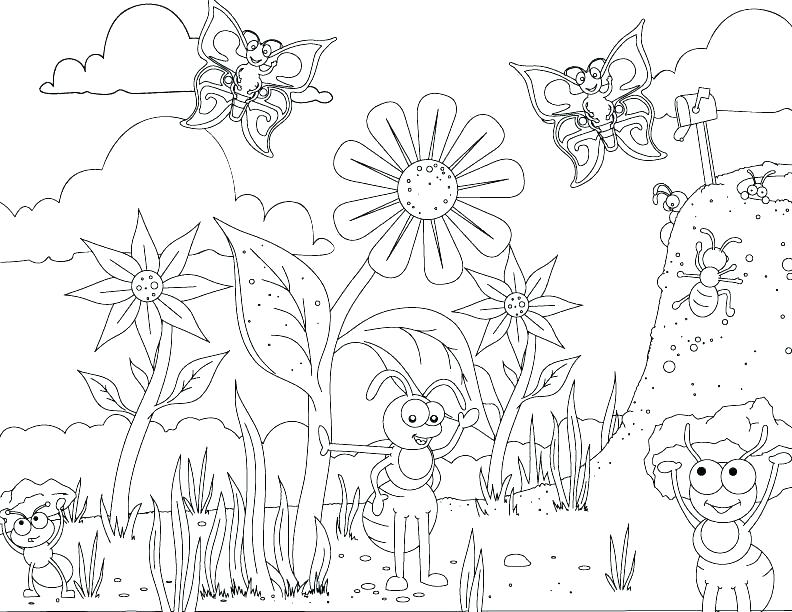 792x612 Anteater Coloring Page Anteater Coloring Page Anteater Drawing