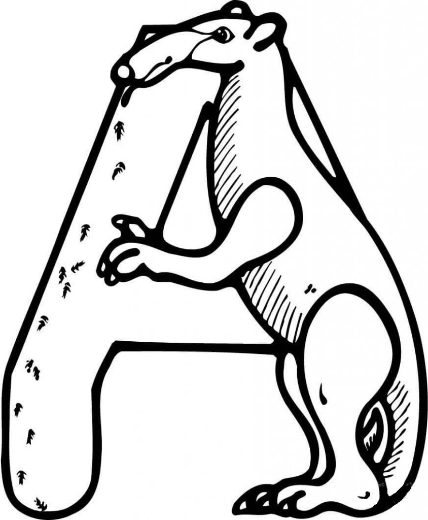 844x1024 Special Anteater Coloring Page Ideas