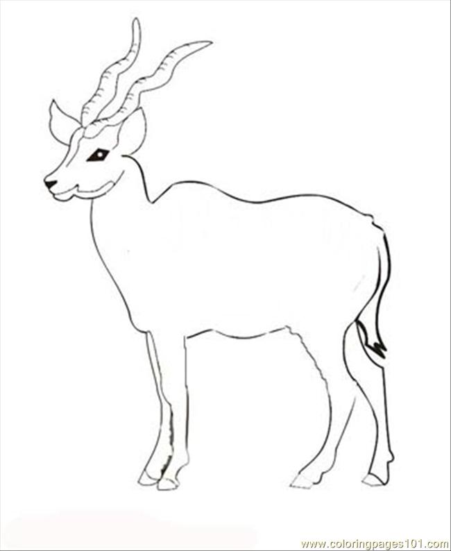 Antelope Coloring Page