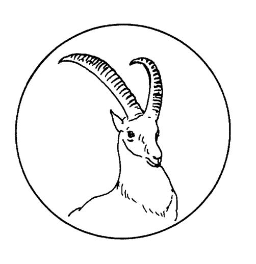 502x518 Antelope Coloring Page. Click For Coloring Jpeg File And See Other