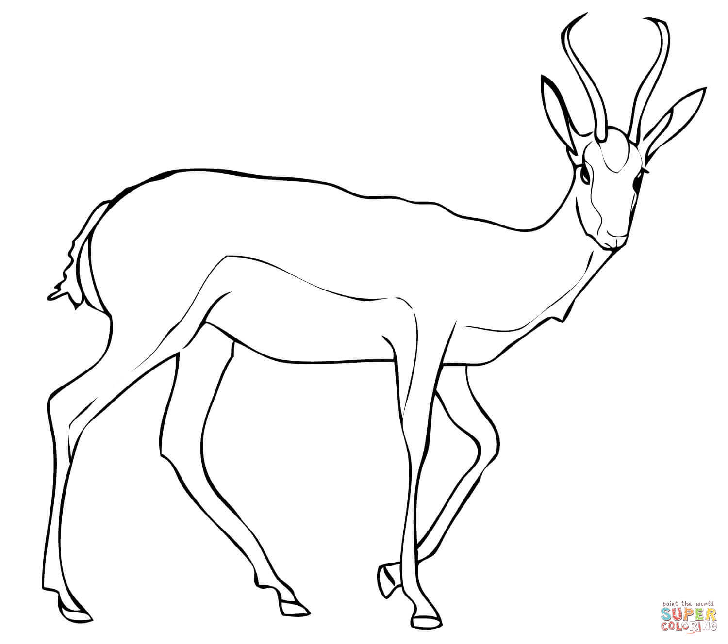 1500x1328 Antelope Coloring Sheet